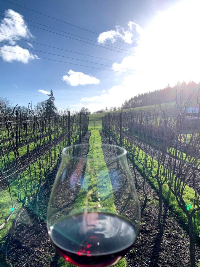 The Setting Inn Willamette Valley Нюбърг Екстериор снимка